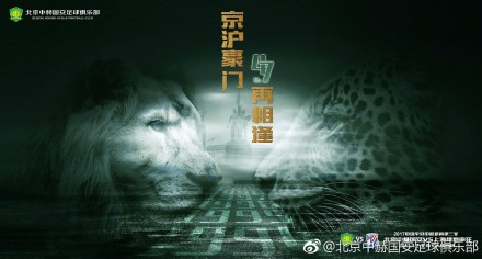h视频在线观看视频