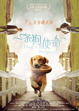 亚洲伊人久久大香线蕉在观