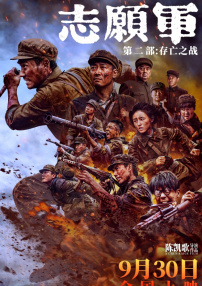 打扑克高清视频