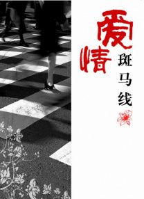 亚洲男同性视频